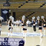 Zgirlsのこれまでとこれから